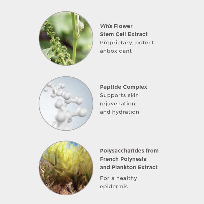 SkinMedica HA5 Plants